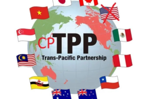 CPTPP可能在部分自贸试验区和海南自贸港先行先试