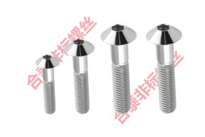 户外市政工程电器设备不锈钢伞头镜面螺丝